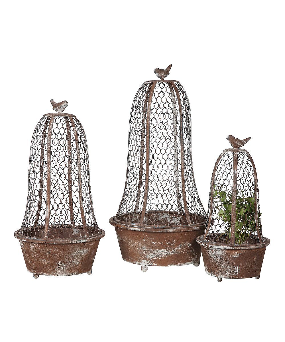 Creative Co-Op Outdoor Planters - Metal Planter & Wire Bird Cloche Set | Zulily