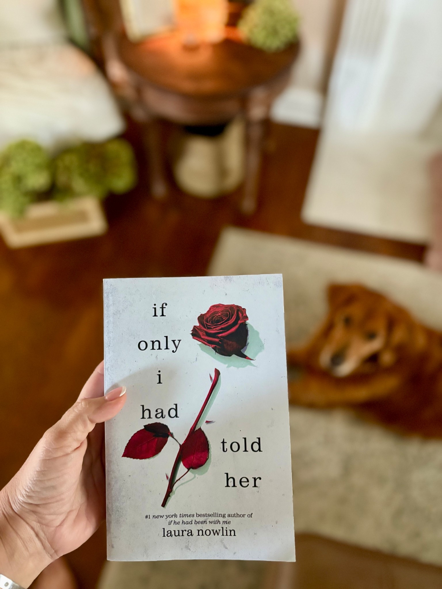 Starting this new read tonight! I read the first one and I’m hoping this one is just as good! Have you read it?

#LTKHome #LTKTravel