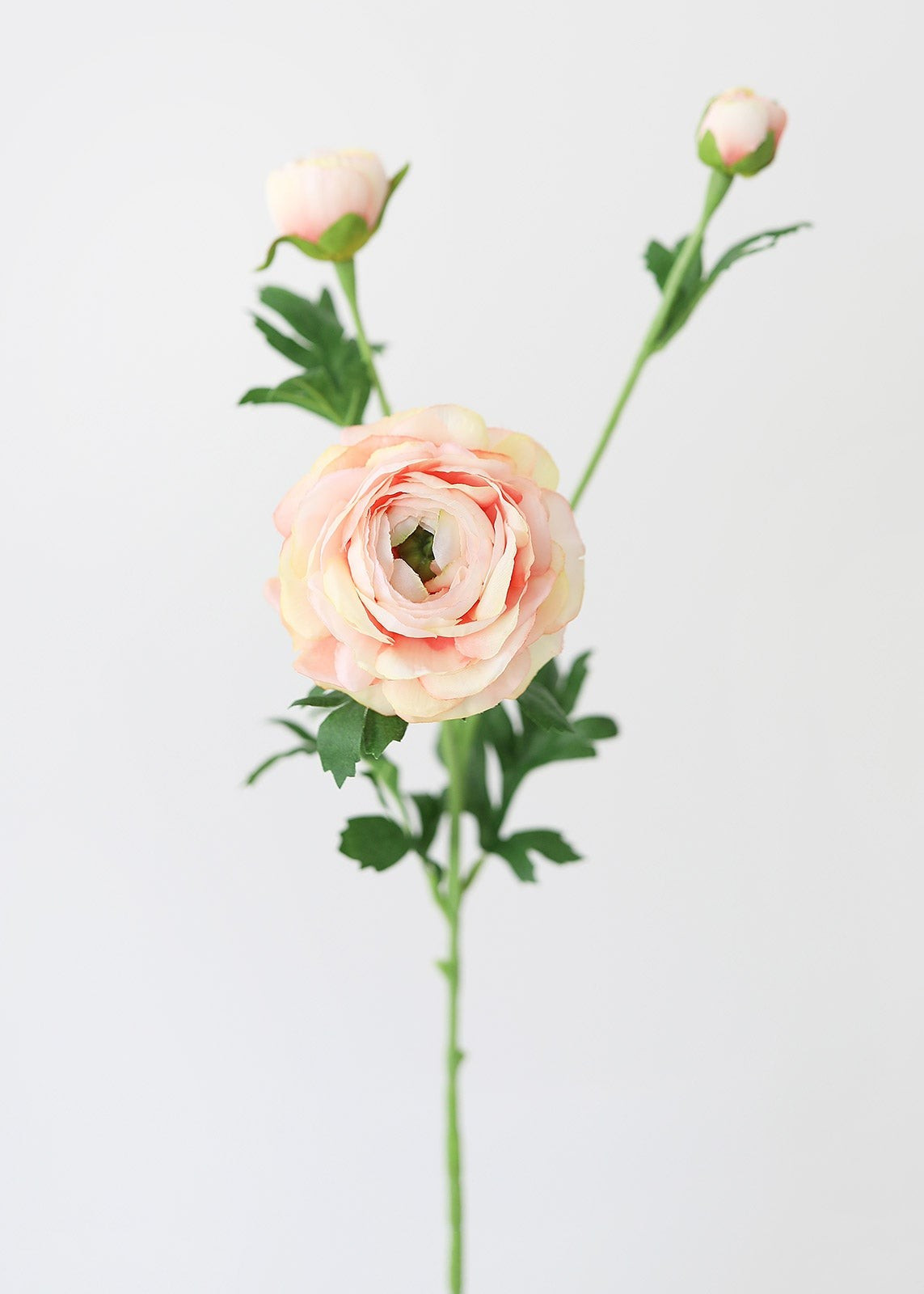 Pastel Pink Yellow Ranunculus Fake Flowers - 25" | Afloral (US)