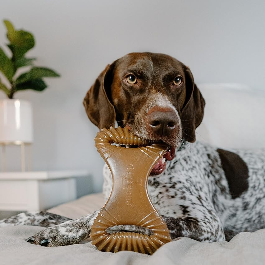 Benebone Real Bacon Durable Wishbone Dog Chew Toy for Aggressive Chewers, Made in USA | Amazon (US)