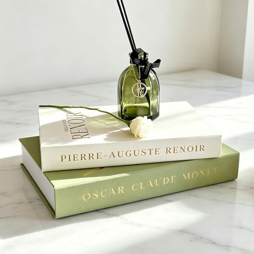 Aesthetic Decorative Books - Set of 2 Linen Fake Books Enhance Your Coffee Table, Home Decor, Liv... | Amazon (US)