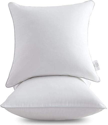 Leeden 22 x 22 Pillow Inserts (Set of 2) - Throw Pillow Inserts with 100% Cotton Cover - 22 Inch Squ | Amazon (US)