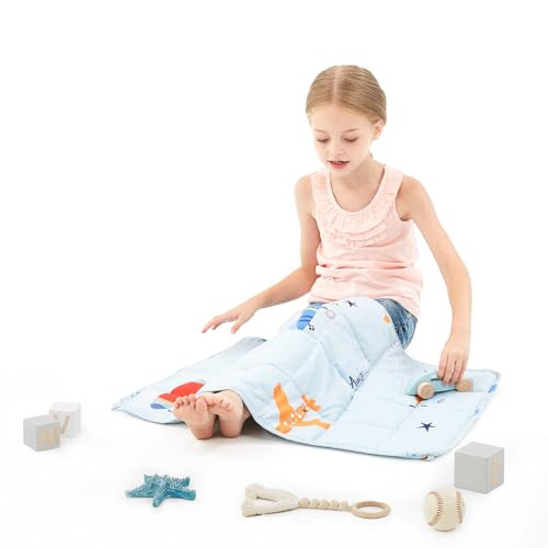 HOSUKKO Weighted Blanket - 2 lbs Blue Airplane Heavy Blanket - Small Size Breathable Blanket(20 * 30 inches, 2 lbs) | Amazon (US)