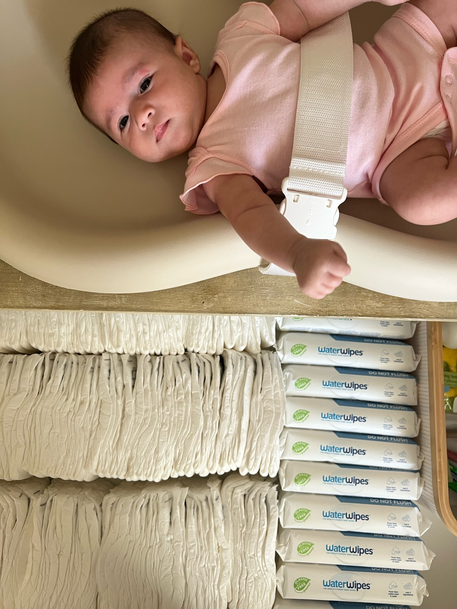 Restocked non-toxic diapers & wipes for my baby girl! 🫶🏼 linking my favorite non-toxic baby essentials so far 

Clean nontoxic diapers 
Clean nontoxic baby wipes 
Diaper changing station
Clean baby formula 
Baby gas relief drops 
Baby vitamin D drops 
Clean nontoxic baby shampoo and wash
Clean nontoxic baby lotion and oil 
Clean nontoxic diaper rash cream 
Nontoxic glass baby bottles 



#LTKKids #LTKBaby #LTKBump