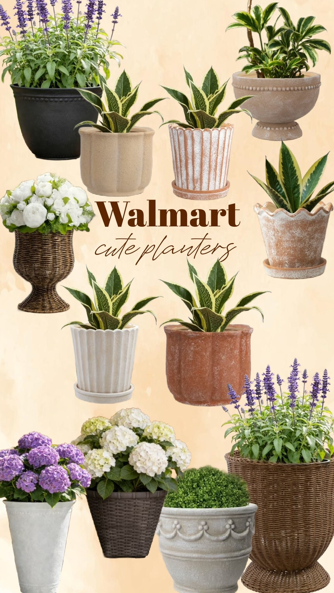 Loving these cute planters from Walmart! Perfect for indoors or outdoors.

#LTKSaleAlert #LTKHome #LTKSeasonal