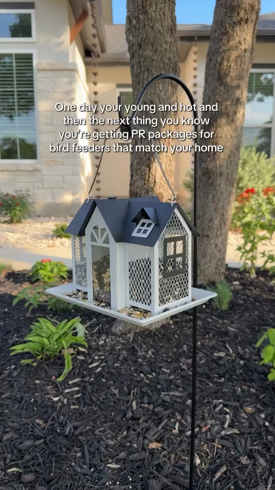 I mean, I’m not mad about it 🤣🕊️ #gardener #gardening #birdwatching #birdwatcher #birdfeeder