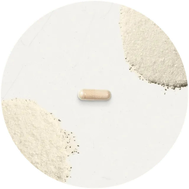 Daily Probiotic  - Premium Supplements from Vitable | Vitable