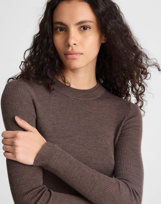 Double Layered Crewneck in Merino-Silk Blend | Madewell