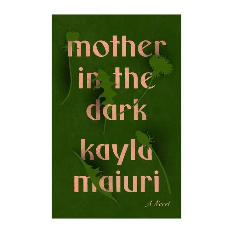 Mother in the Dark - by  Kayla Maiuri (Hardcover) | Target