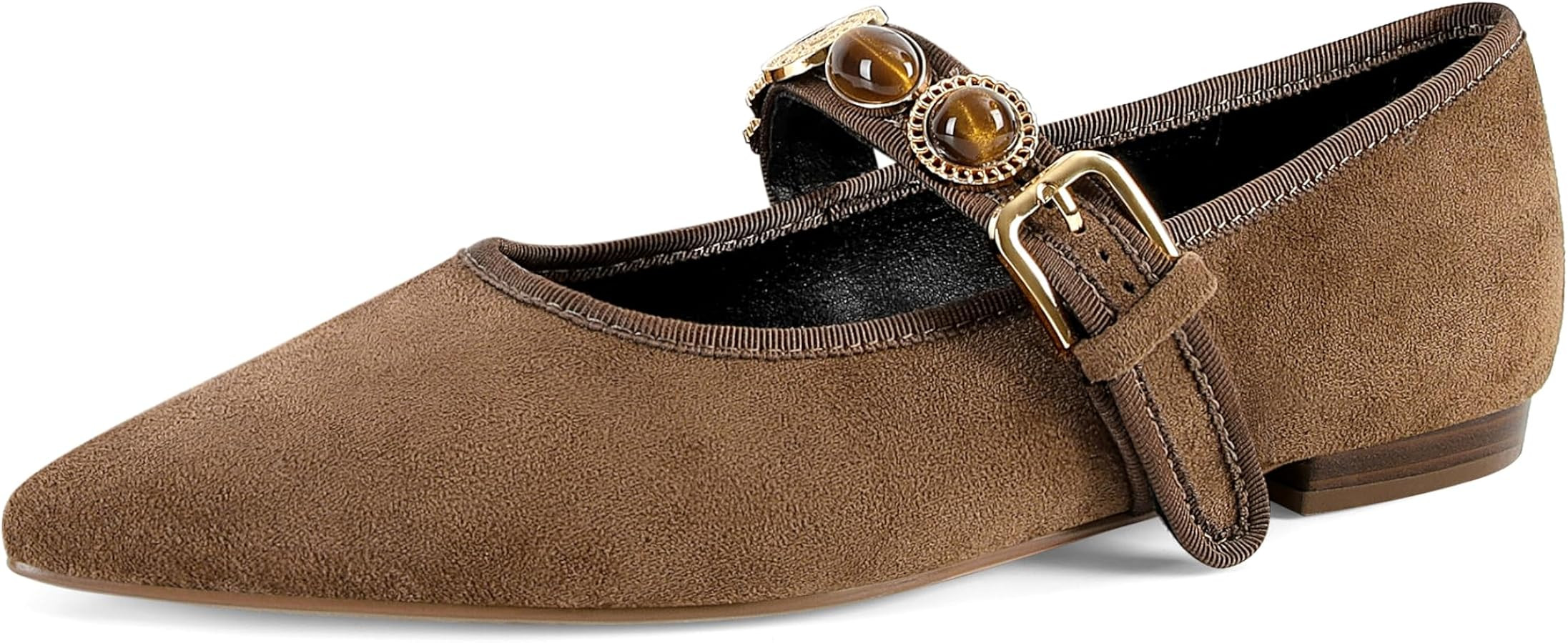 Women's Ballet Mary Jane Flats Pointed Toe Buckle Strap Flats Dressy Comfortable Ballerina Shoes ... | Amazon (US)