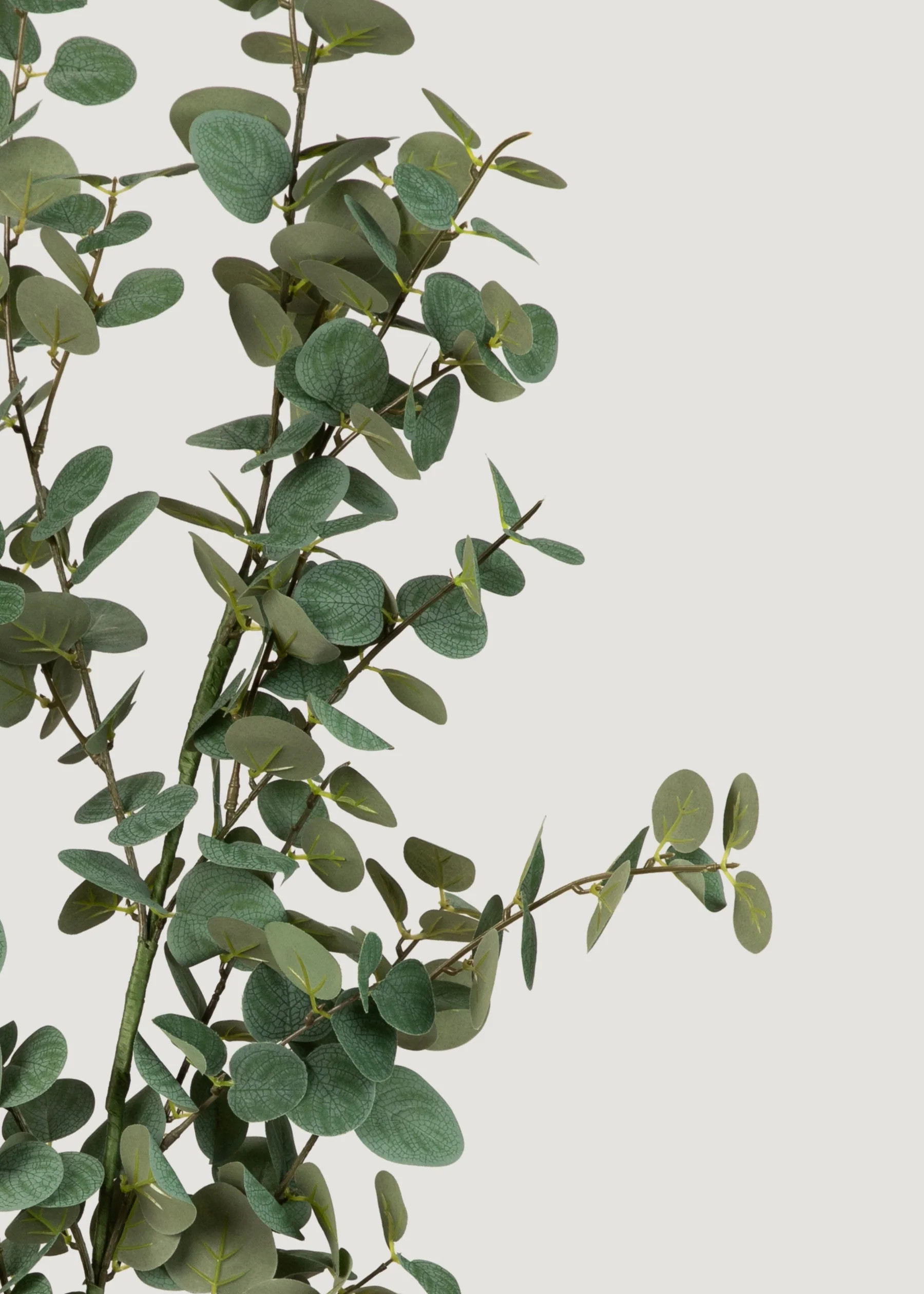 Deluxe Eucalyptus Branch | Artificial Tall Green Stems at Afloral | Afloral
