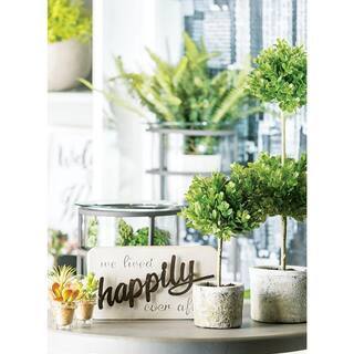 SULLIVANS 21" Artificial Green Double Boxwood Topiary in Planter 02196TOP - The Home Depot | The Home Depot