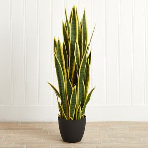 Faux Potted Sansevieria Plant | West Elm (US)