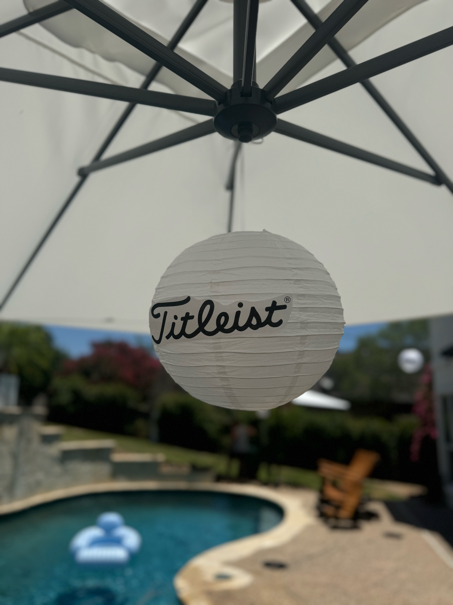 #LTKParties #LTKFindsUnder50 #LTKHome