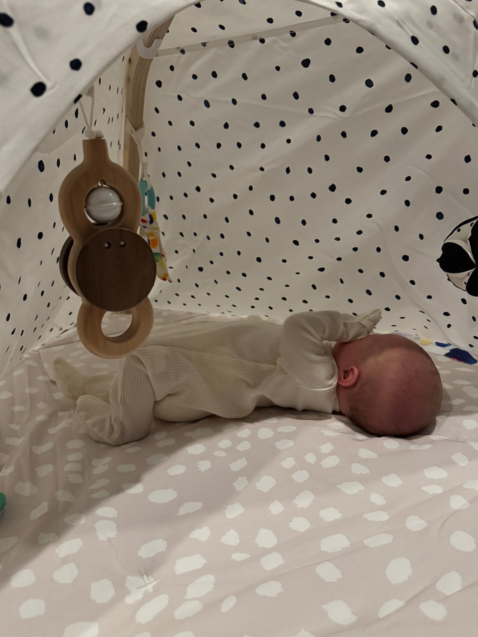 The baby play gym you should add to your baby registry! 

The high contrast cover is great for newborns! 

#LTKBump #LTKBaby #LTKmomlife