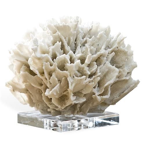 Regina Andrew White Coastal Beach White Ribbon Coral on Crystal Base | Kathy Kuo Home