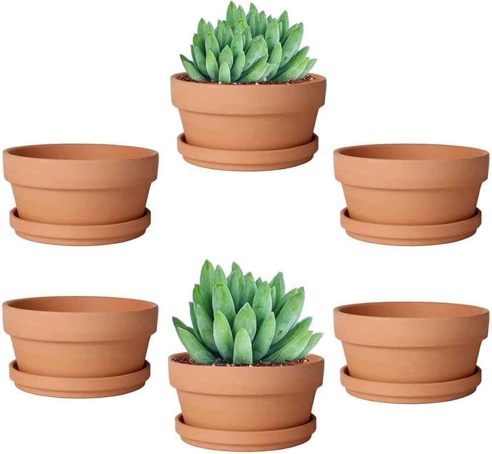 vensovo 4.5 Inch Terracotta Shallow Succulent Pot - 6 Pack Terra Cotta Clay Pots with Saucer, Cac... | Amazon (US)