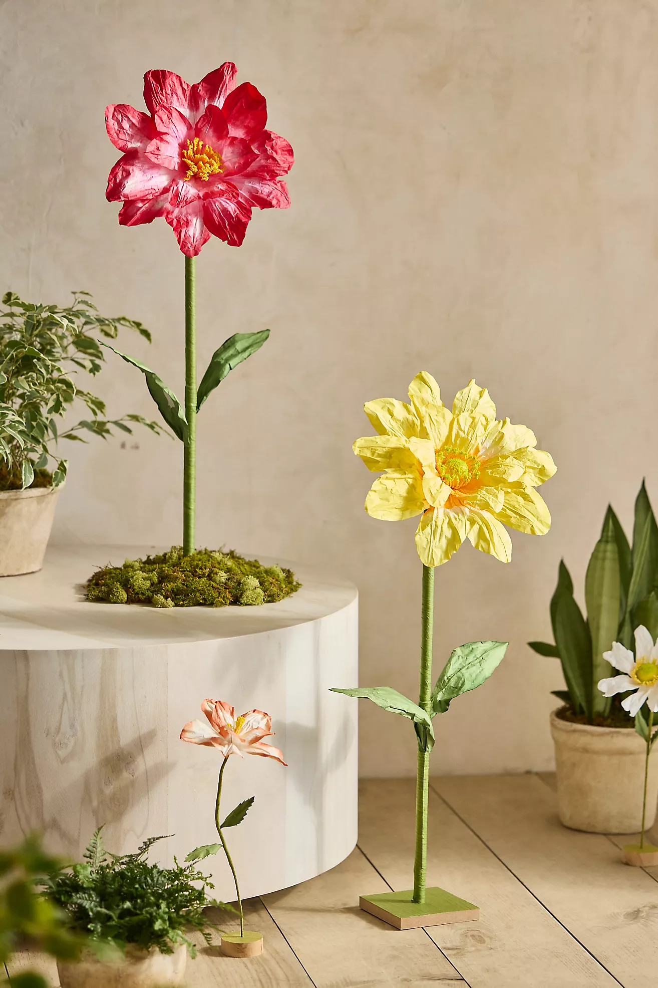 Paper Flower Stand, Tall | Anthropologie (US)
