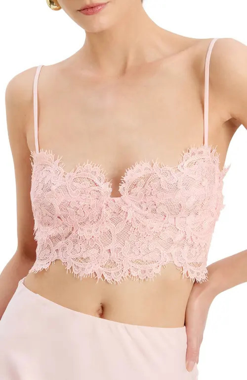 Bardot Linella Lace Bralette in Petal Pink at Nordstrom, Size 12 | Nordstrom
