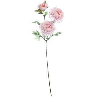 Pink Ranunculus Stem by Ashland® | Michaels Stores