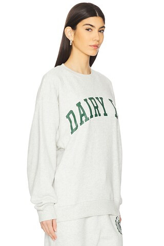 x REVOLVE Varsity Crewneck in Heather Grey | Revolve Clothing (Global)