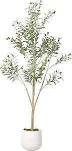 Phimos Artificial Olive Tree with Planter Pot Large Faux Olive Branches and Fruits Artificial Tre... | Amazon (US)