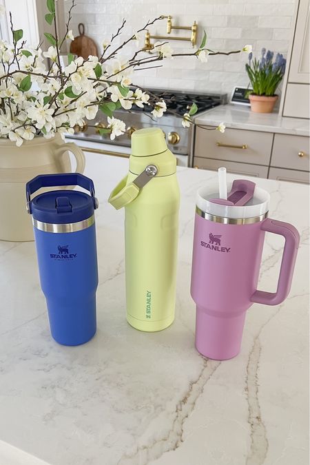 I just received the prettiest new @stanley_brand for spring! I have the 30oz iceflow flip straw tumbler in iris, the 36oz aerolight cap and carry in citron, and the 40oz adventure quencher in lilac! #stanleypartner

#LTKstyletip #LTKhome #LTKSeasonal