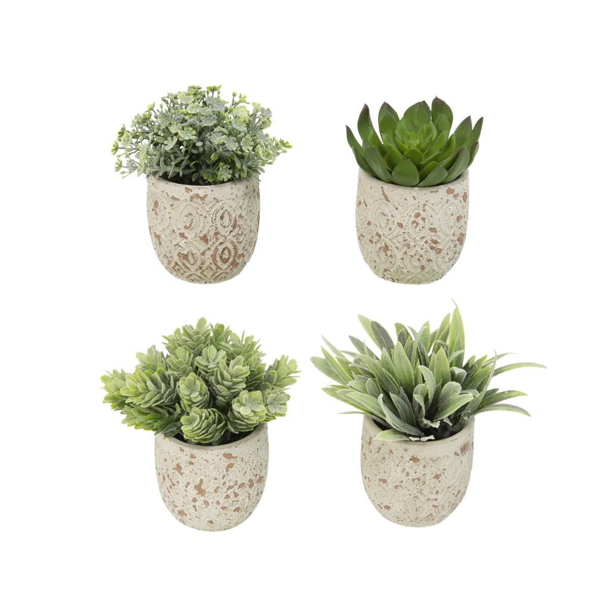 The Gerson Companies Set of 4 Assorted 5 in H Artificial Succulents | HSN