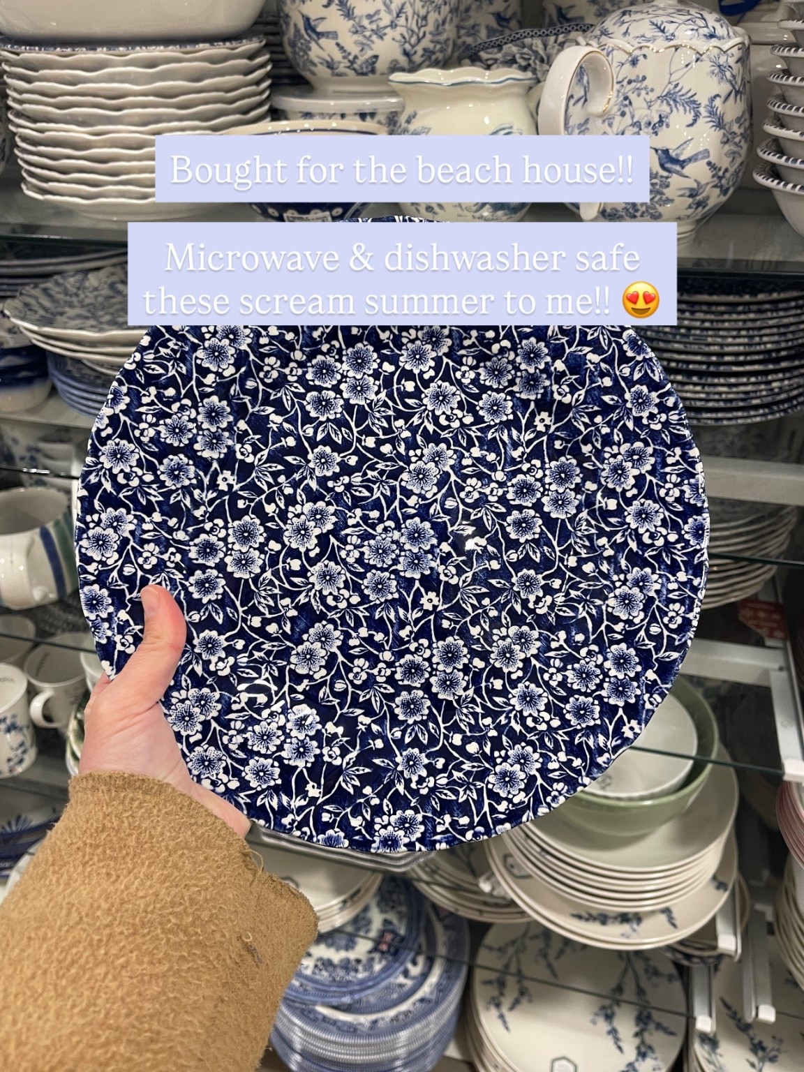 I’ve always loved & wanted these plates!! Just scored them for our beach house!! Love the navy & floral pattern 😍 perfect for a coastal summer tablescape! Plus they’re microwaveable & dishwasher safe!

#LTKSaleAlert #LTKHome