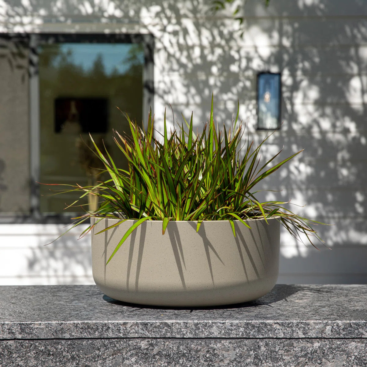Mason Series Kona Bowl Planter | Wayfair North America