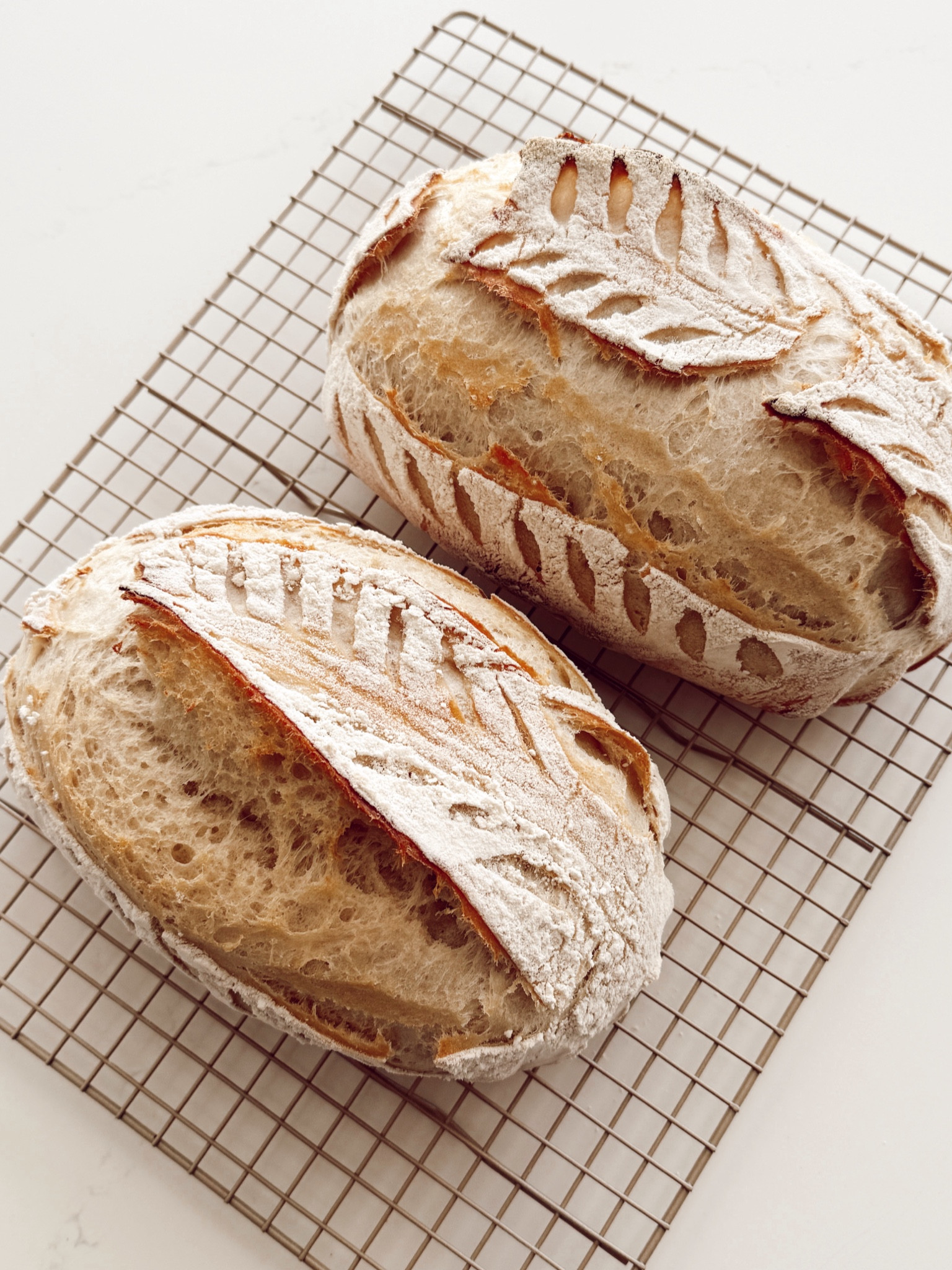 Fave Sourdough Supplies! 