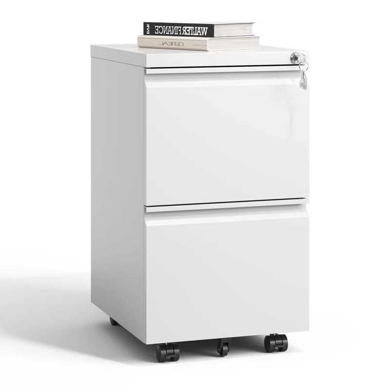 Inbox Zero Markiese 14.69'' Wide 2-Drawer Vertical Mobile Steel File Cabinet With Lock Fully Asse... | Wayfair North America