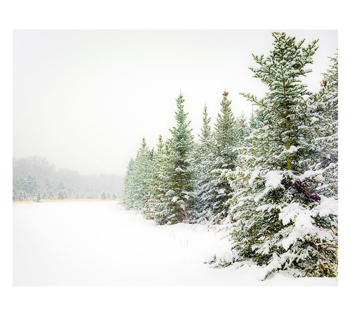 Snow Scene Framed Print by Cindy Taylor | Pottery Barn (US)