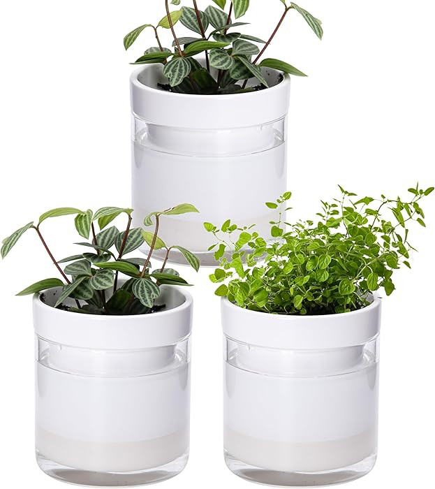 Phoenix Vine 4 Inch Self Watering Planter, White Terracotta Clay Pot with Glass Reservoir for Ind... | Amazon (US)