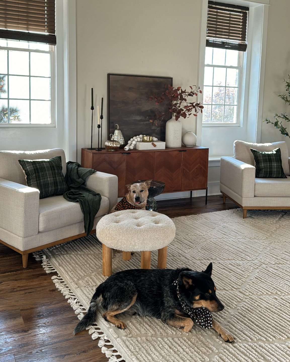 Fall home decor! Amazon home, Target home & Walmart home! 

#LTKHome #LTKFindsUnder50 #LTKFindsUnder100