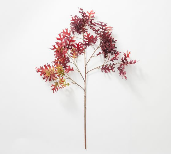Faux 45" Oversized Autumn Oak Branch | Pottery Barn (US)