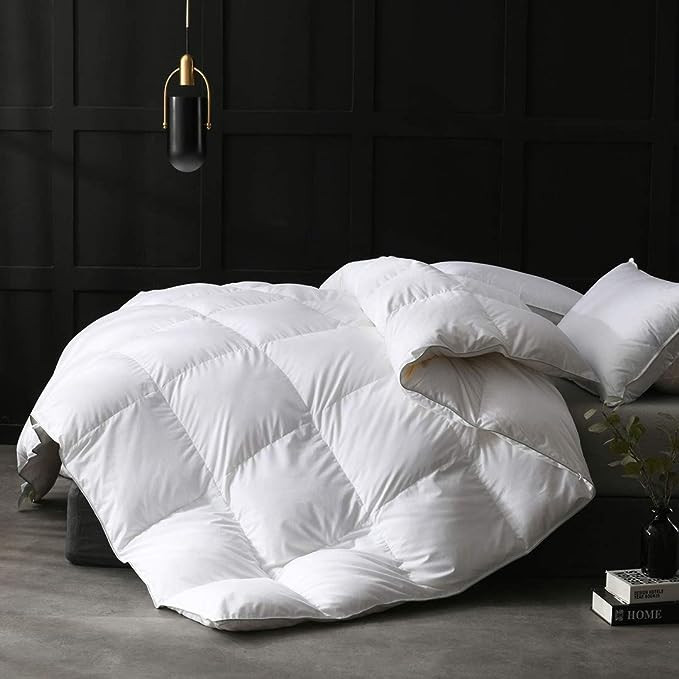 APSMILE Luxury Feathers Down Comforter Oversized Queen Size, Ultra-Soft 750 Fill-Power Goose Duve... | Amazon (US)