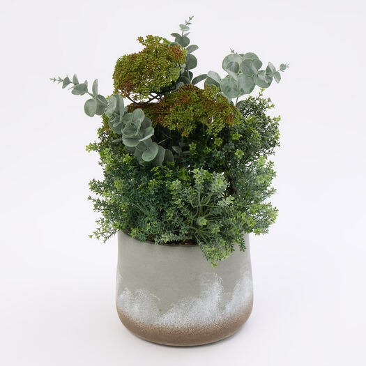 Green Artificial Eucalyptus Boxwood Plant 72x34cm | TK Maxx