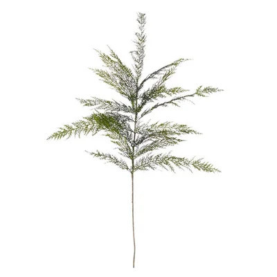 Cedar Pick | Wayfair North America