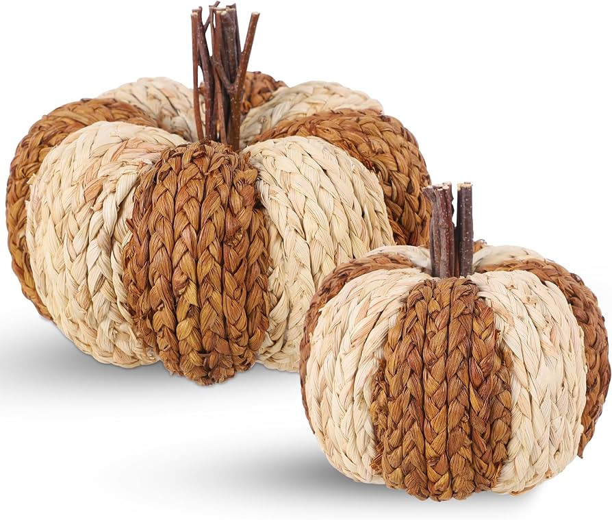 winemana Wicker Rattan Pumpkins Neutral Fall Decor for Table Centerpiece | Amazon (US)