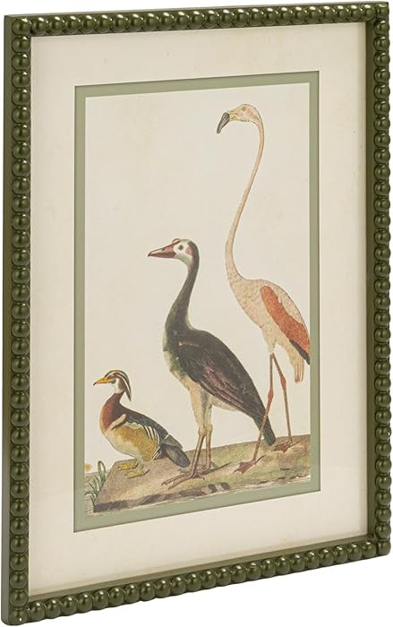 Creative Co-Op Wood Framed Glass Wall Décor with Vintage Reproduction Bird Image and Bobbin Fram... | Amazon (US)