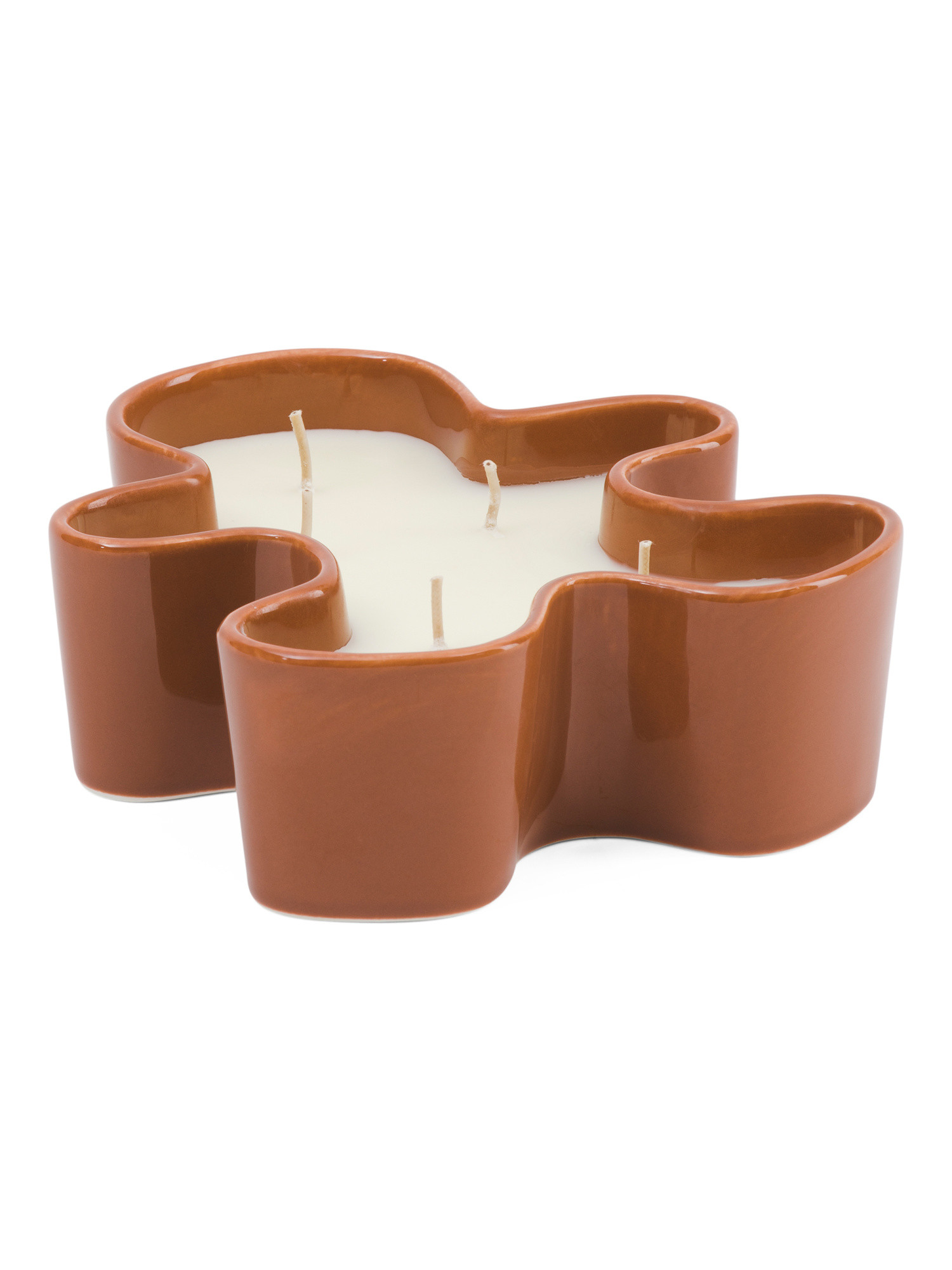 15oz Spiced Gingerbread Candle | TJ Maxx