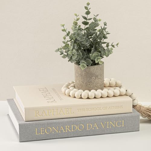Upgraded Decorative Books for Home Decor - Coffee Table Faux Books for Decoration, Linen Fake Book Storage Box for Entryway, Bookshelf, Modern, Boho, Farmhouse & Neutral Aesthetic Decor, Set of 2 | Amazon (US)