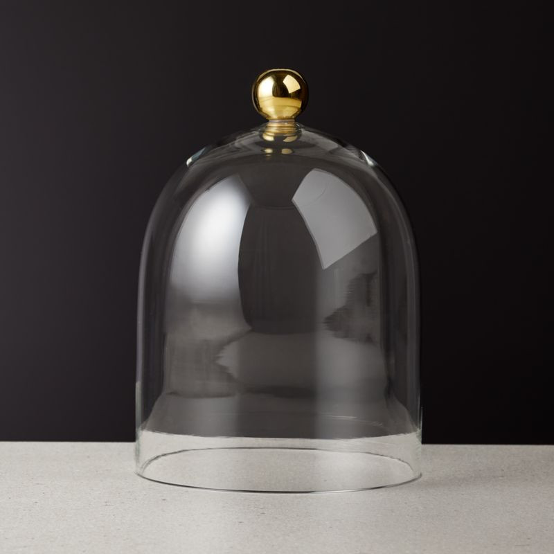 Glass Cloche | CB2 | CB2