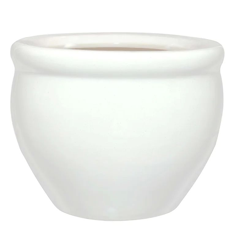 Skiljo Ceramic Pot Planter | Wayfair North America