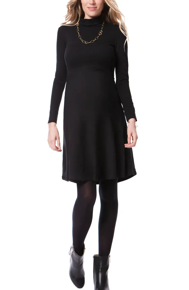 Seraphine Turtleneck Long Sleeve A-Line Maternity Dress | Nordstrom | Nordstrom