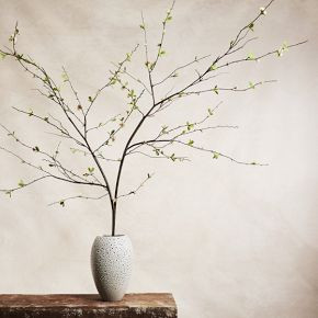 Faux Blossom Branch | West Elm (US)