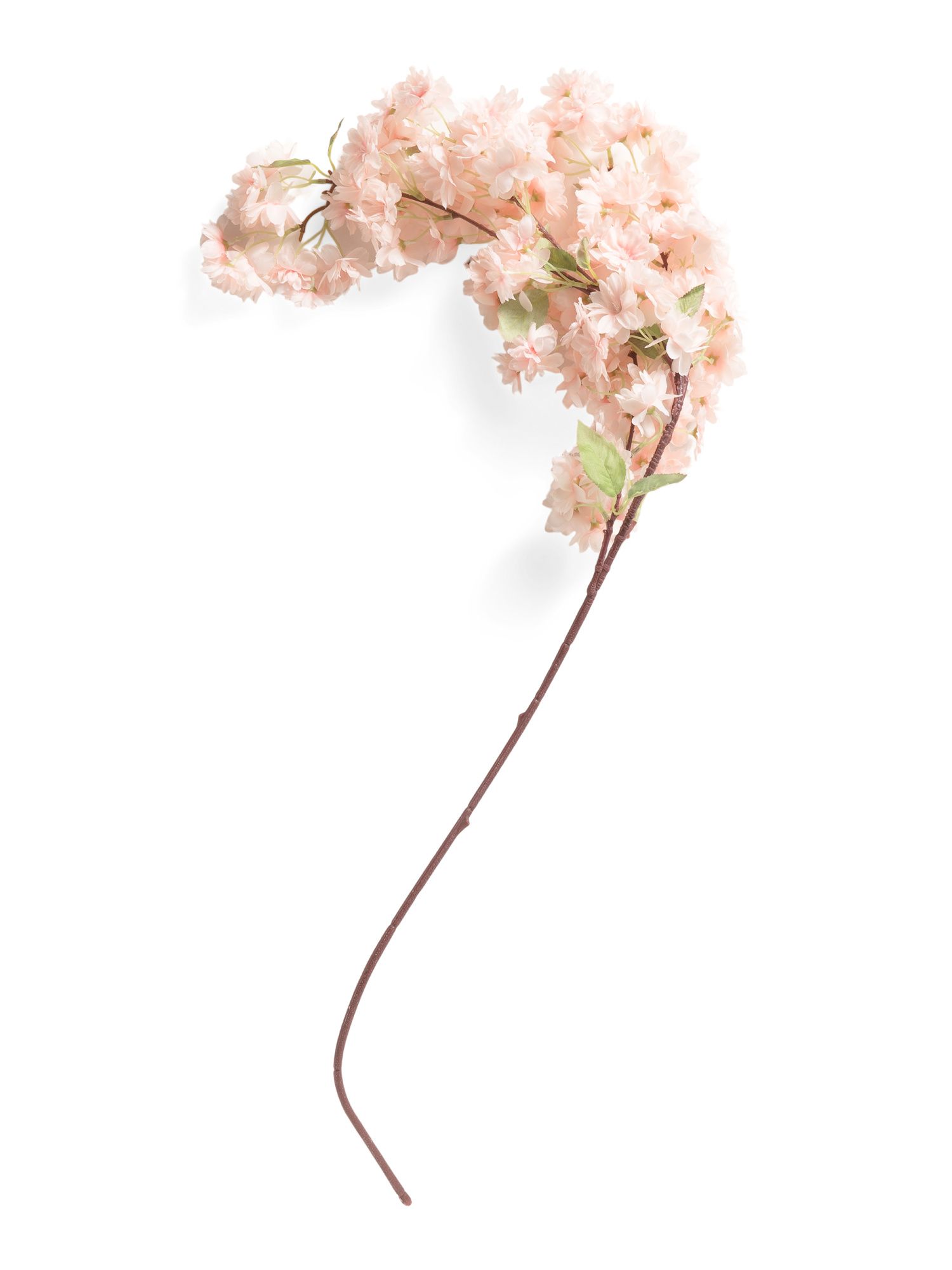 AFLORAL
							
							40in  Cherry Blossom Branch
						
						
							

	
		
						
							$16.... | Marshalls