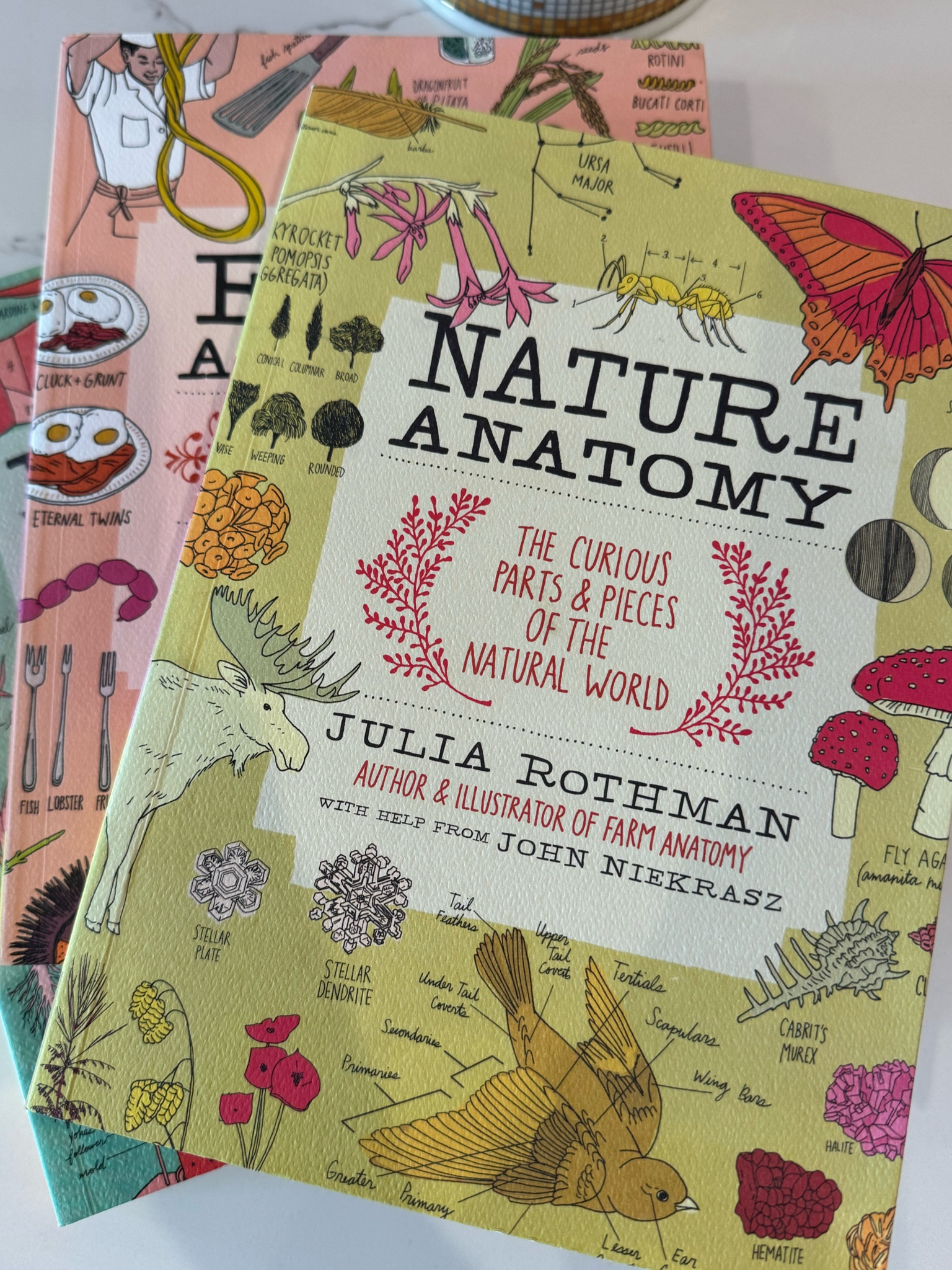 FAVORITE KIDS BOOKS!! Especially if you homeschool 