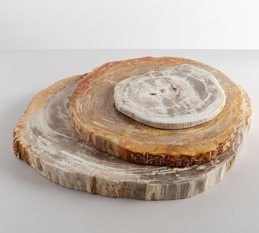 Fortessa Petrified Wood Charcuterie Boards | Pottery Barn (US)
